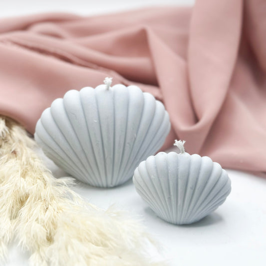 Sea Shell Bliss